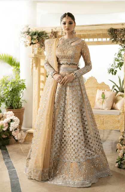 Bridal Dresses for Pakistani Women