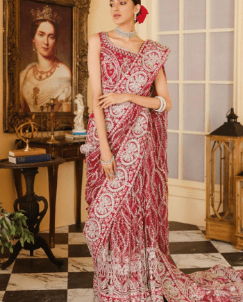 Net Embroidered Saree Collection 2024