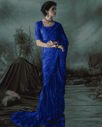 Elegant Royal Blue Embroidered Chiffon Saree – Front View with Intricate Embroidery & Custom Stitching